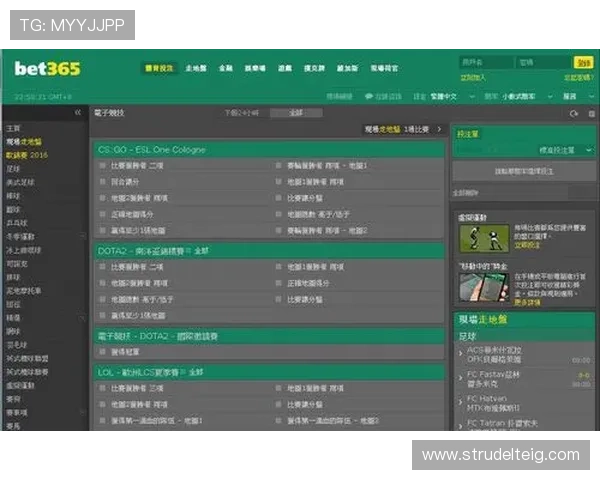 最新AG盘口网站评测,揭秘平台的可信度与用户体验