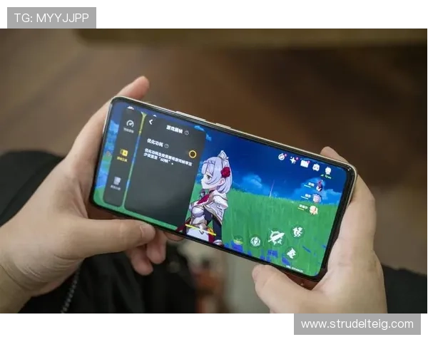 ag视讯手机客户端安全稳定,随时随地畅享精彩游戏体验