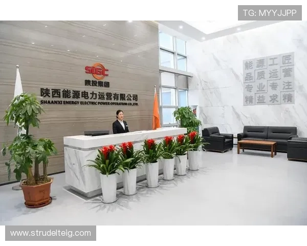 AG电投网站的合法性与安全性评估指南帮助用户安心投注