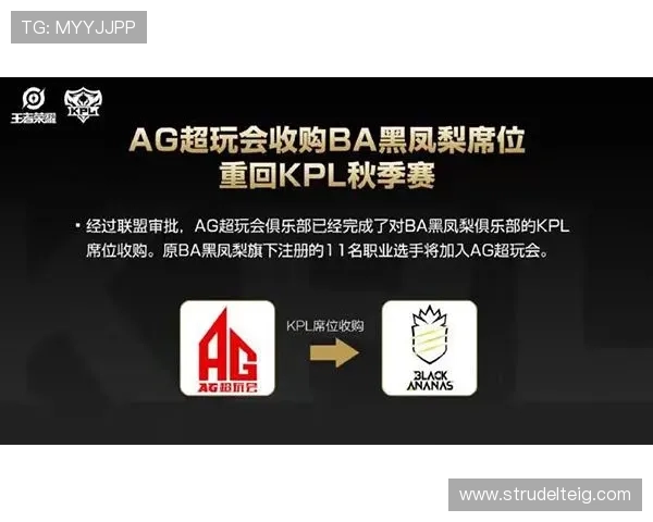 安全使用ag电竞官方登录入口，避免账号被盗的实用技巧与安全建议