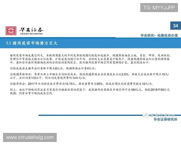 K8视讯中心安全保障措施详解:确保玩家资金与信息安全的全面措施介绍