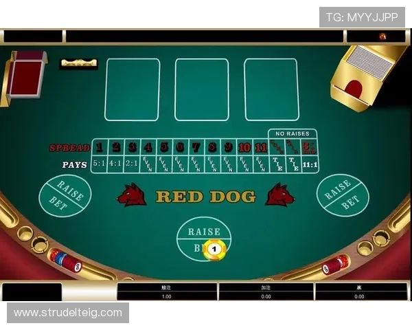 在bet365百家乐官网上学习专业的游戏技巧和策略,提升你的胜率实现稳健盈利